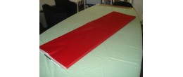 Traslatore  ''Easymove FLY330 NEW in PP - 170x50 pieghevole